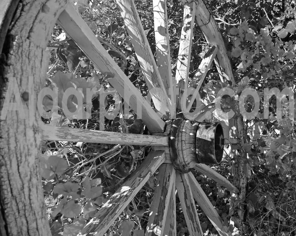 Algarve photography Old Cart Wheel